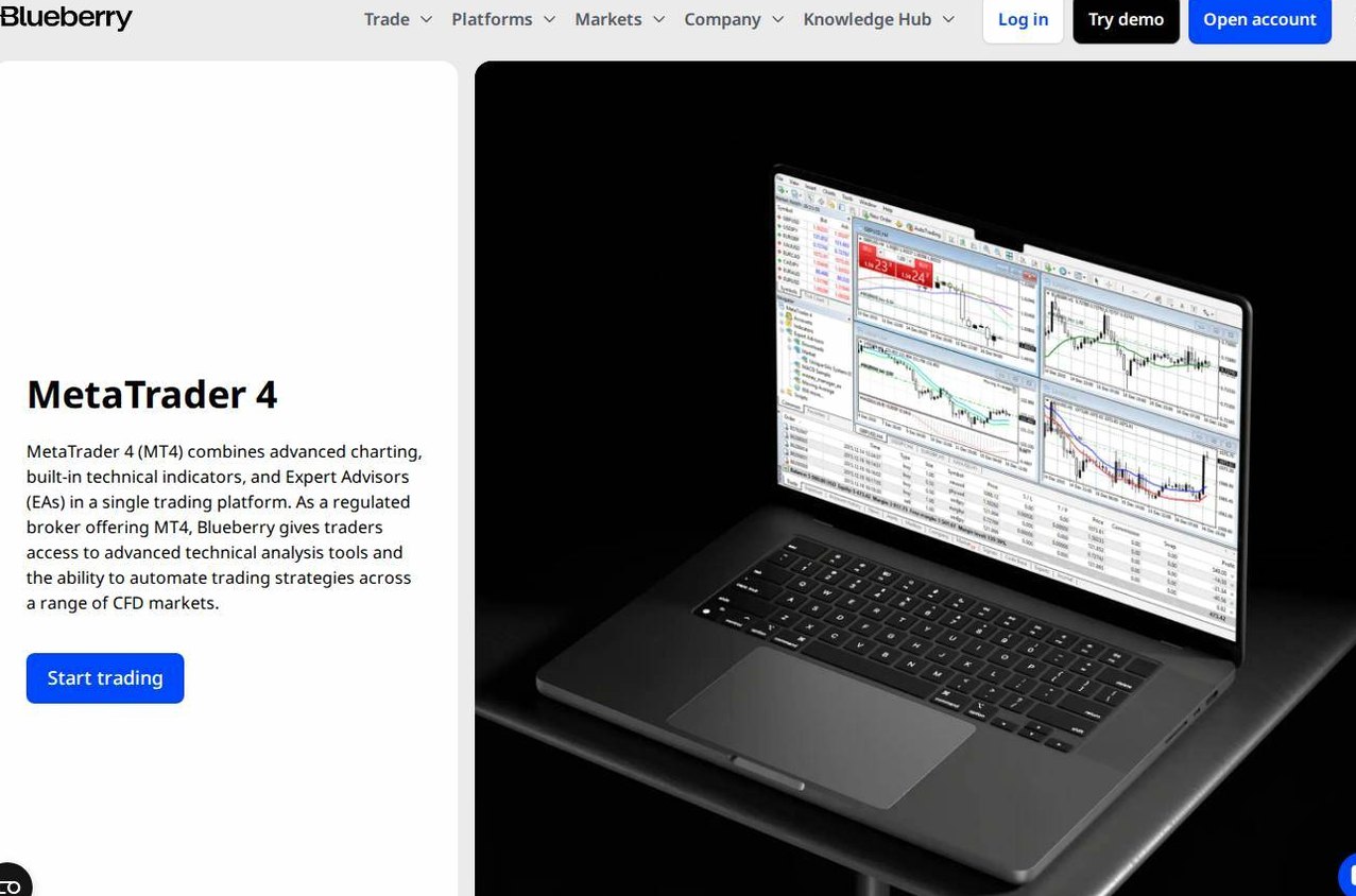 The platform page on the Blueberry Markets website