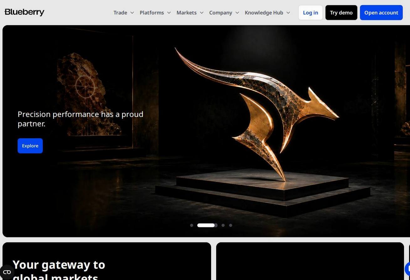 Screenshot of the Blueberry Markets website